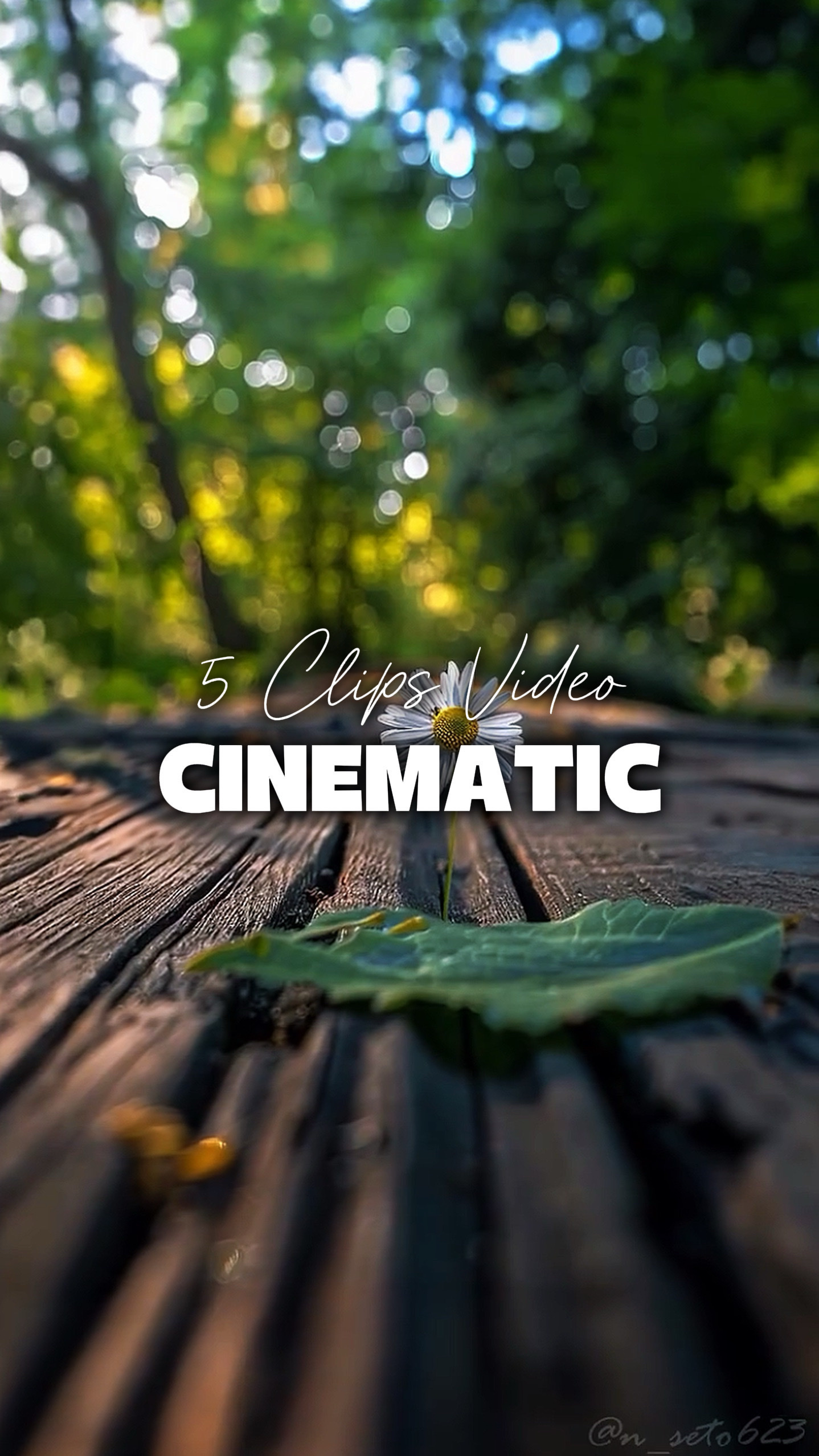 5 Videos Cinematic 