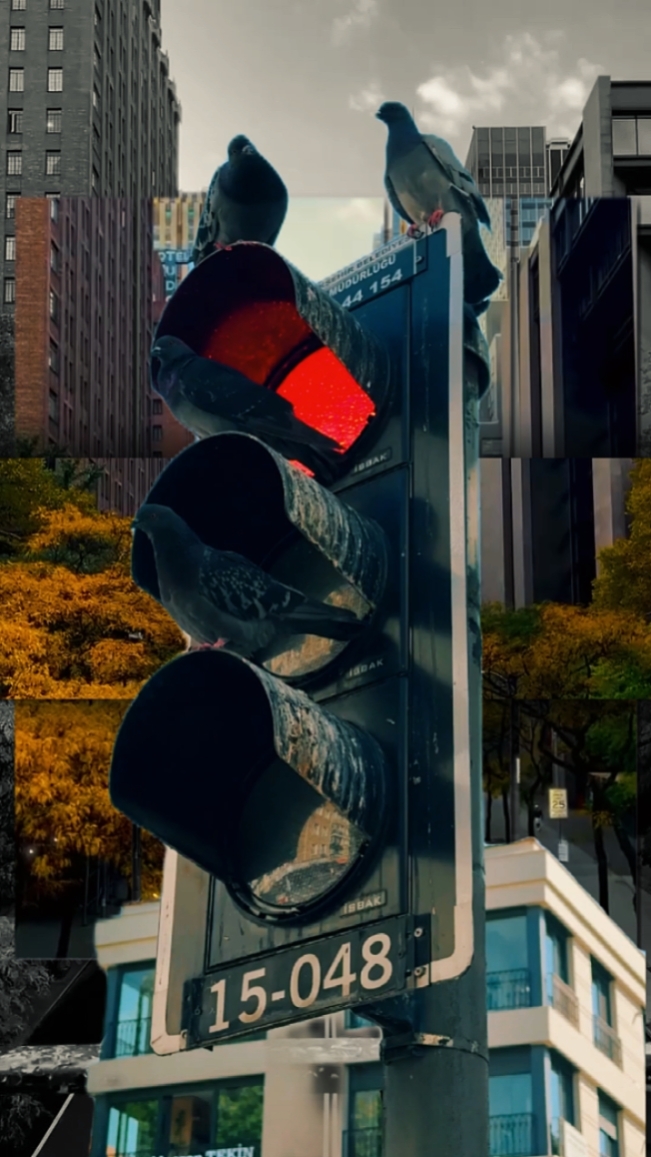 9 Clips Cinemáticos 