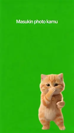 kucing dance