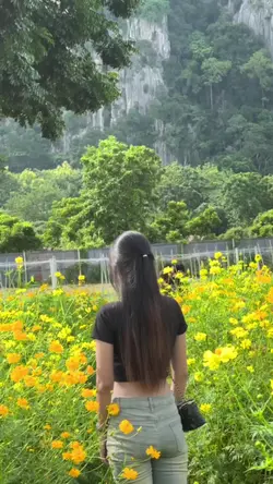 วัน ทรู ทรี โฟร์