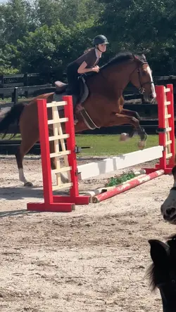 lil jumps ⚠️FAKE⚠️