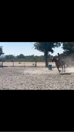Barrelsssss
