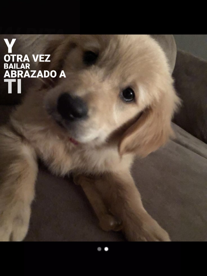 ¿A quien extrañas?