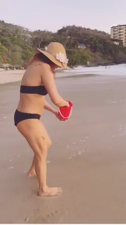 Sea turtle releasing