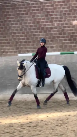 JUST KEEP WATCHING 😻