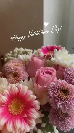 Valentine’s Day 🤍