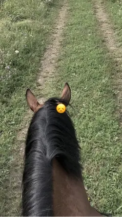 ❤️🩹