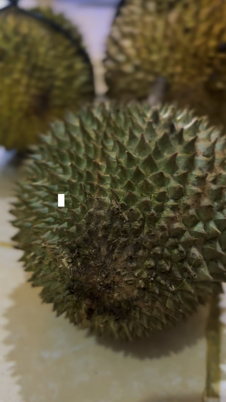 Durian ng Buah