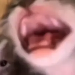 naaaaaaaaaaaaaaaaaaa