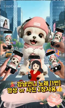 강남언니 SONG 노래 춤 영상