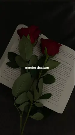 Dostum Anamdı