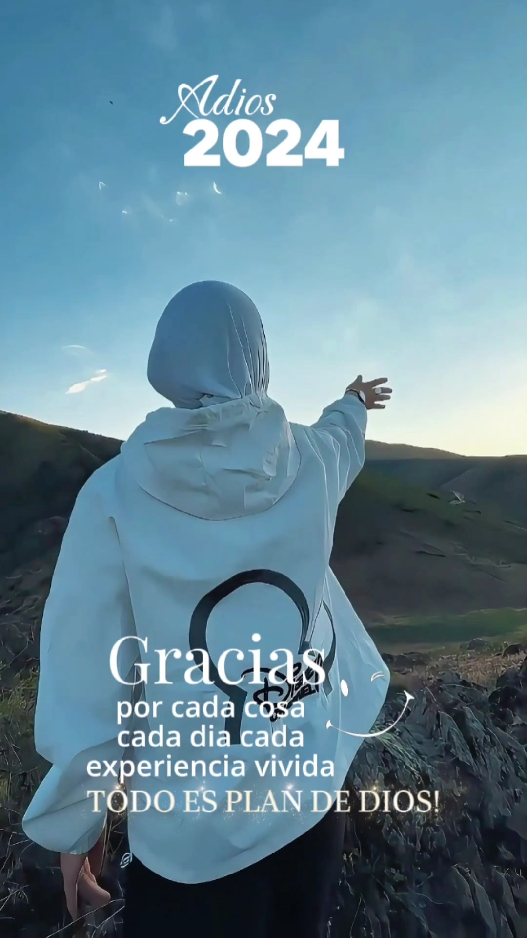 Adiós 2024