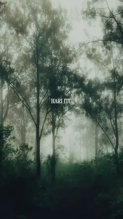 PETIR DALAM HUTAN