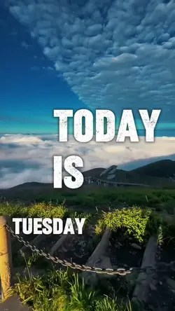 TODAY IS TUESDAY