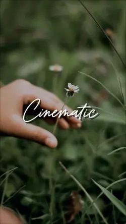 Cozy Home Cinematic 