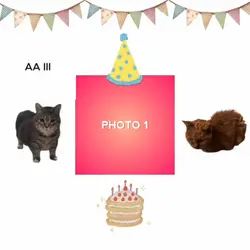Birthday Cat Trend