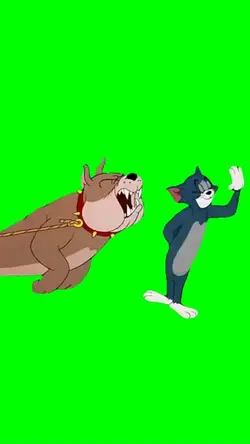 tom dog