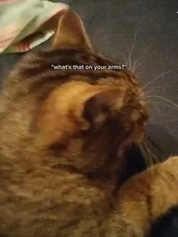 do I creep you out?