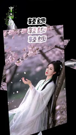 半壶沙