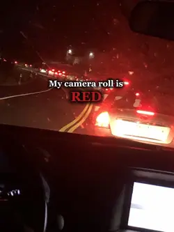My camera roll