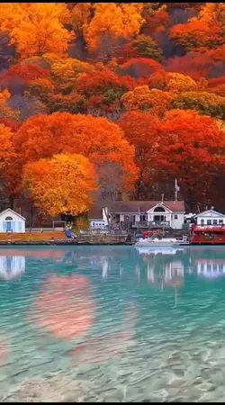 Natureza