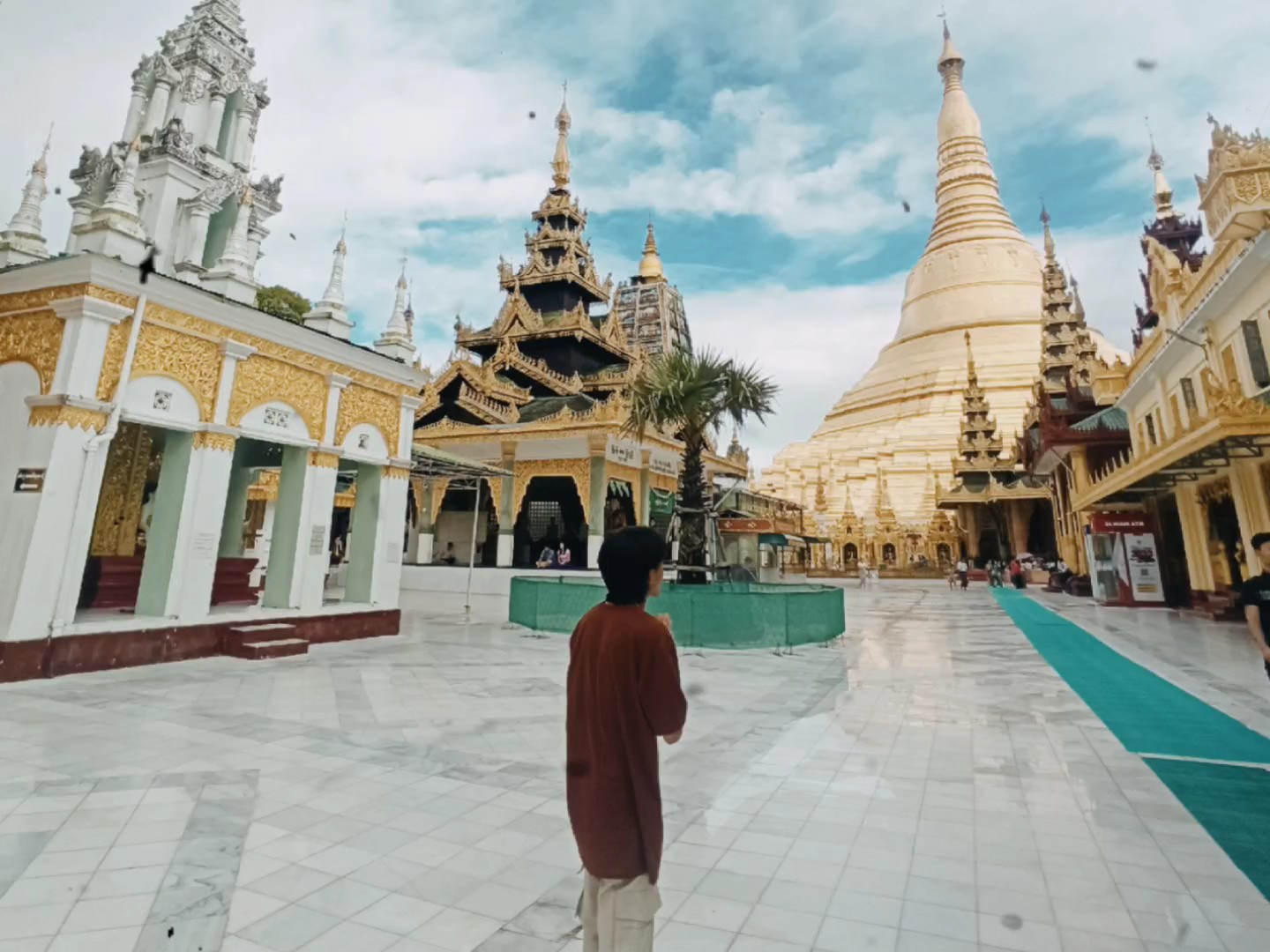 မှန်ရာကို သစ္စာ