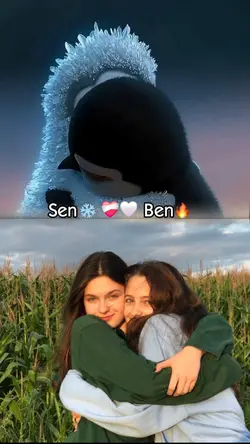Dost ŞABLONU...