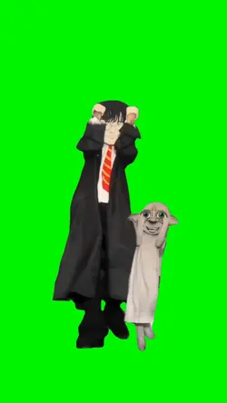 Potter & Dobby Dance