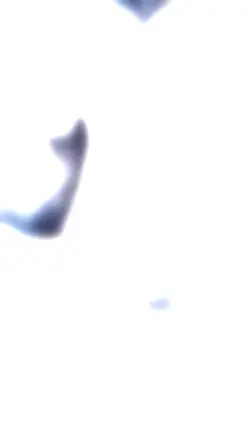 #18休日