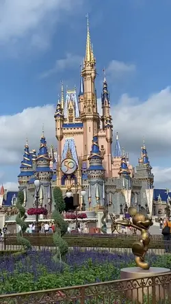 A whole new world