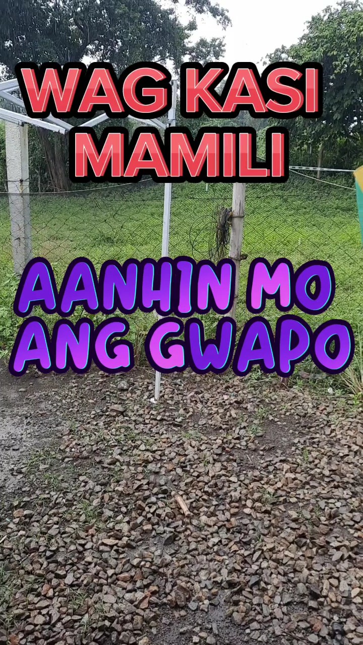 WAG NA MAMILI 