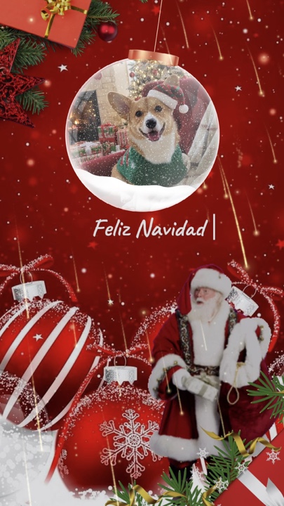 Animal de Noël