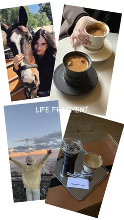 写真を展示する