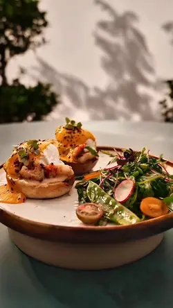 COFFEE ☕️ TEMPLATE 🔥