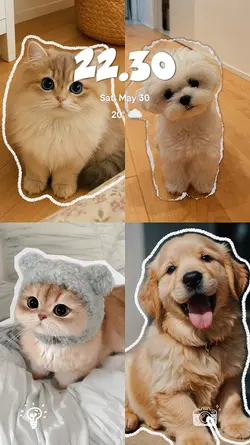 PETS WALLPAPER
