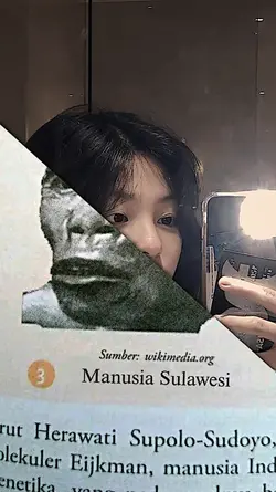 VersiManusiaSulawesi