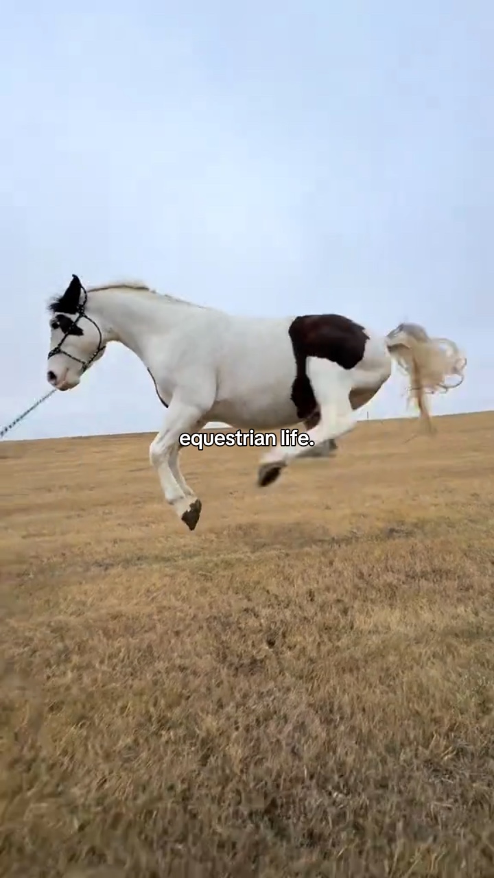 equestrian life 😍
