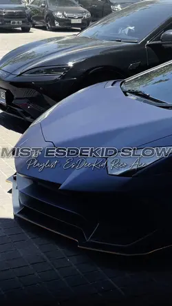 Mist EsDeeKid Slowed