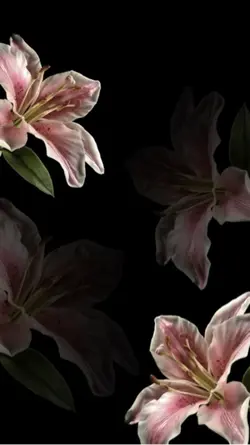 Always nd forever❤️