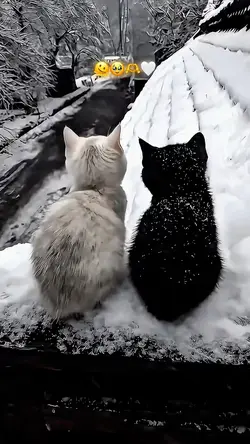 Bir yana ❤️‍🔥