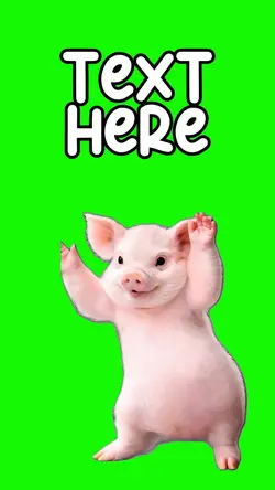 Piggy Dance