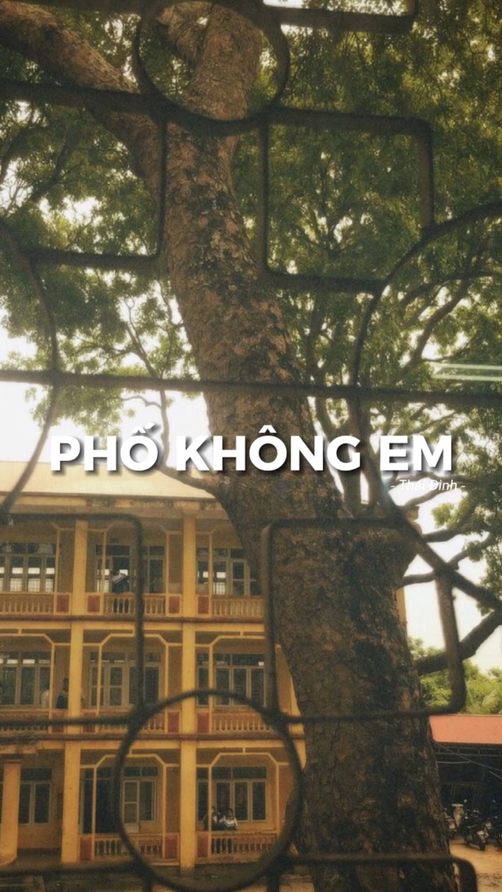 [2] Ảnh