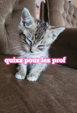 les mrofs