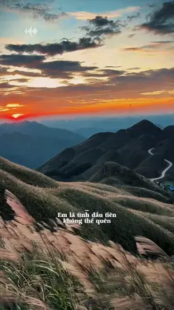 Em là tình đầu tiên 