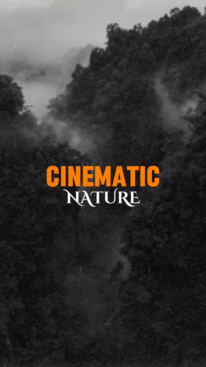 cinematic nature
