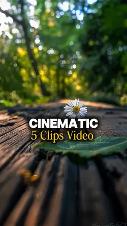 5 CLIPS VIDEO 