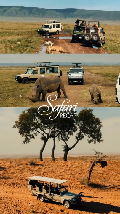 Récapitulatif de Safari