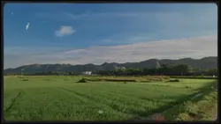 4 ảnh ngang