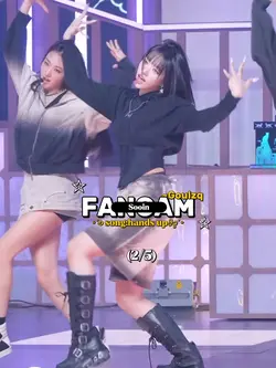 FANCAM