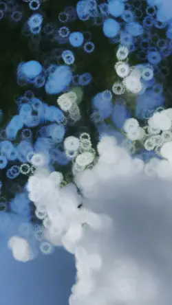 slo motion template